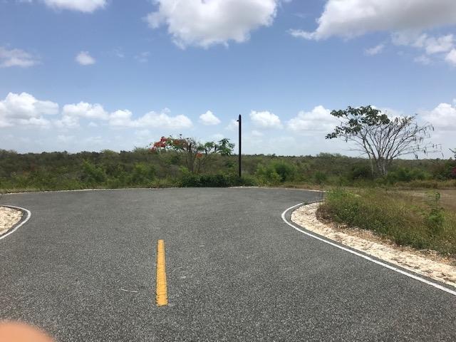 #108 - Terreno para Venta en San Rafael del Yuma - La Altagracia - 3